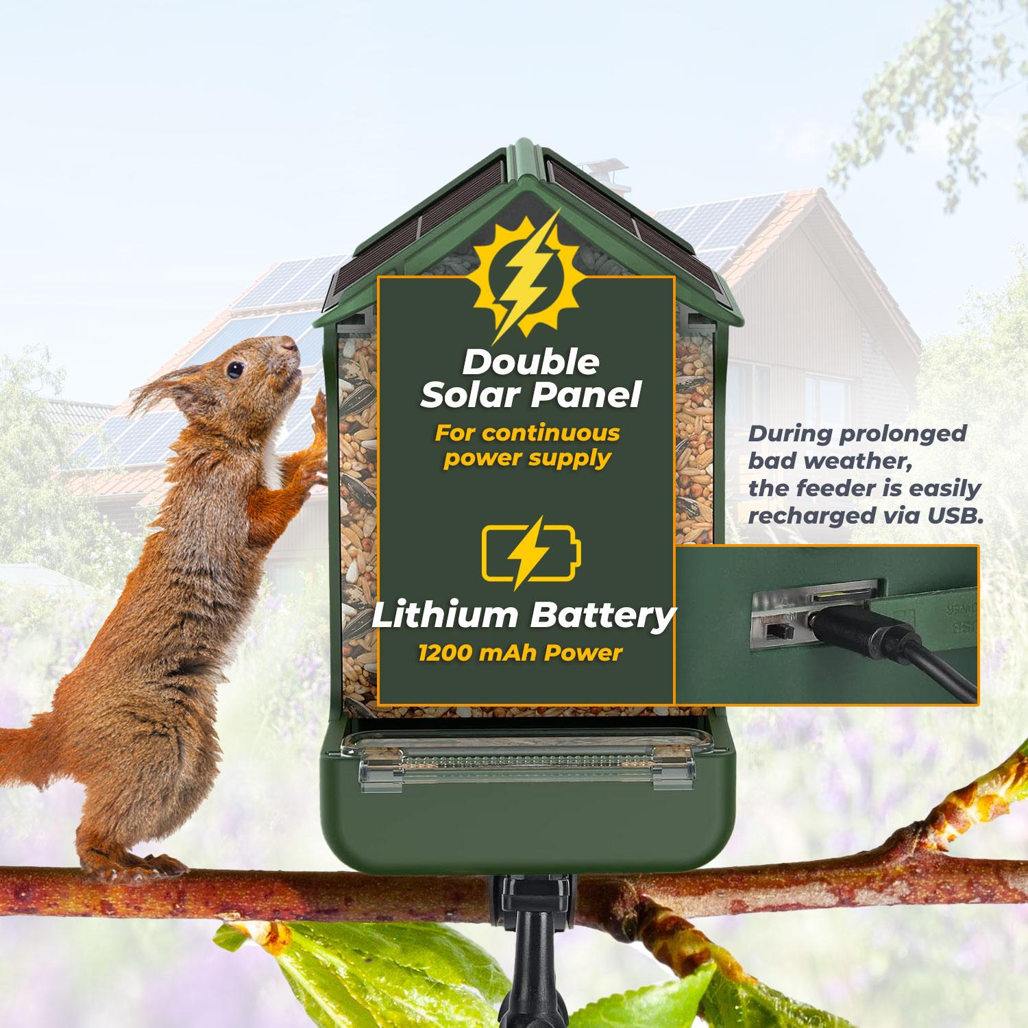 EasyPixBirdycam / 12MP / Päikesepatarei / Ilmastikukindlus - Image 3