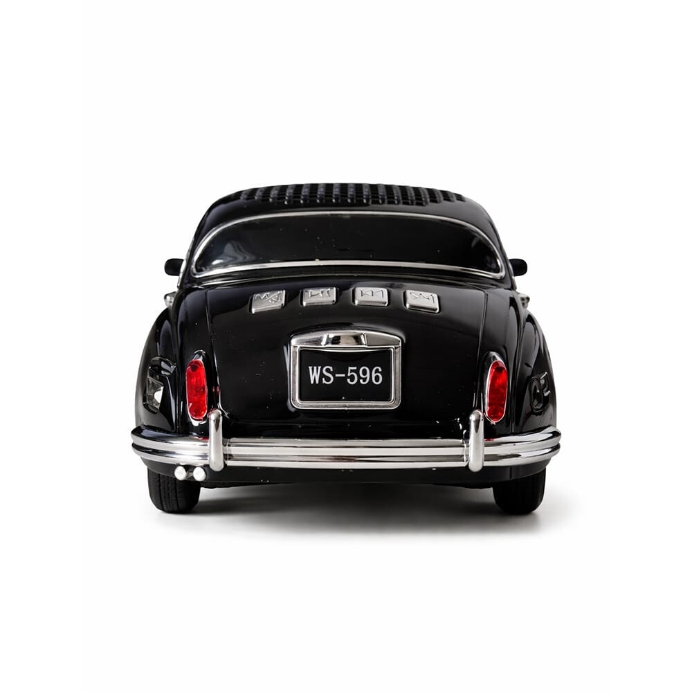 Wster Limousine WS-596 Bluetooth kõlar / 10W - Image 3